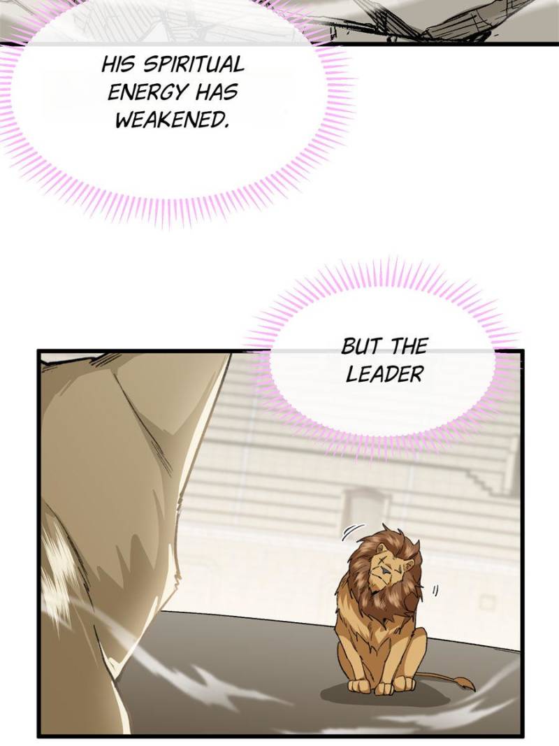 81494764 800 1067 64998